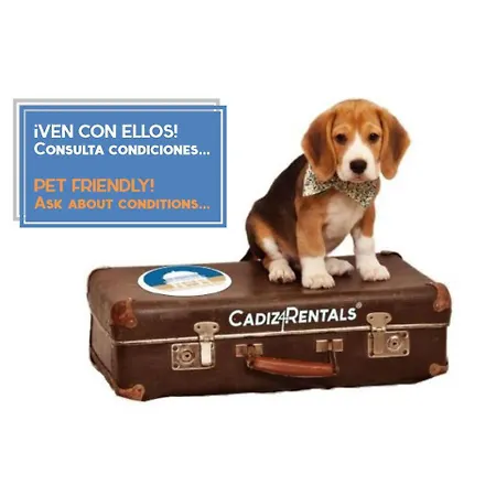 La Herencia Del Regidor By Cadiz4rentals * Cadix