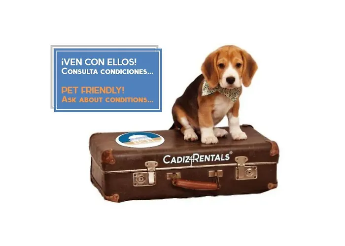 La Herencia Del Regidor By Cadiz4rentals * קדיז